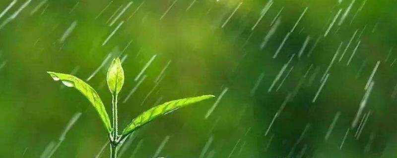小雨点作用真大它还可以干什么 我发现小雨点儿的作用真大呀它还可以