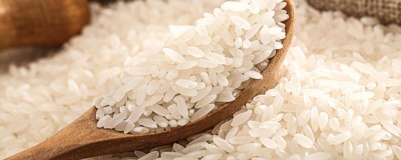 大米密封后为什么会有虫 密封的大米怎么会生虫子