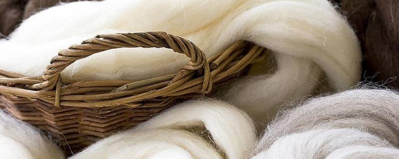 羊绒的保暖程度是羊毛的多少倍 羊绒是羊毛保暖程度的几倍