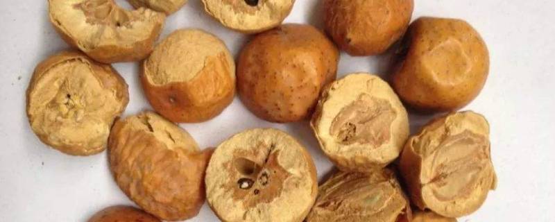 金铃子是川楝子吗（中药金铃子是川楝子吗）