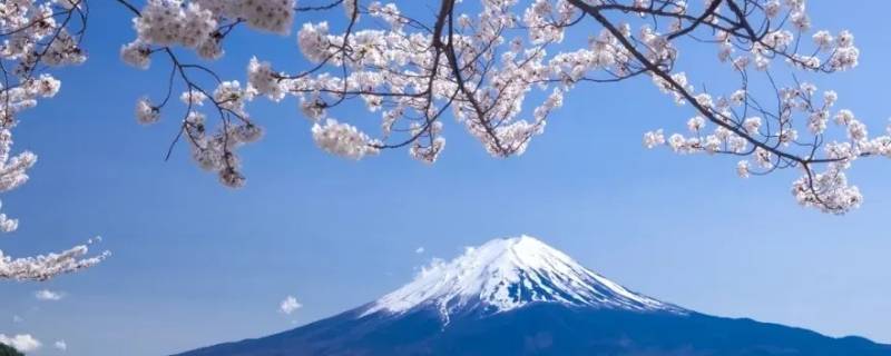 日本是东几区 日本东京是东几区