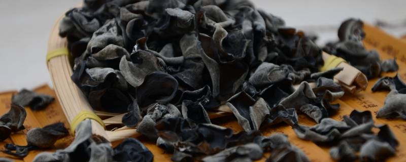 快速泡木耳的妙招 快速泡木耳的妙招 微波炉