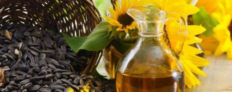 葵花籽油适合油炸吗（葵花籽油适不适合油炸）