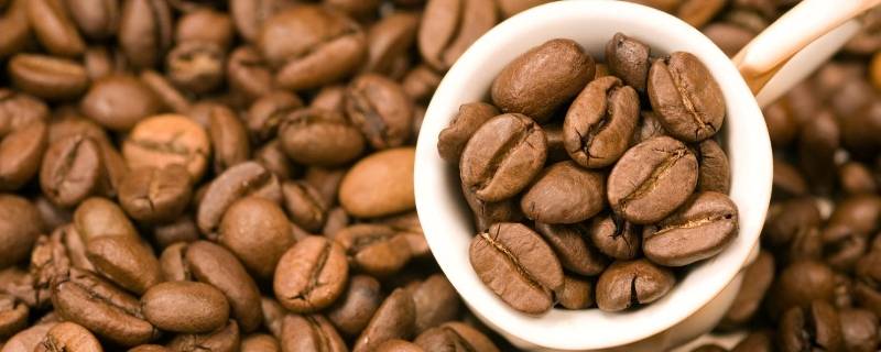 咖啡豆品种 咖啡豆品种名字大全