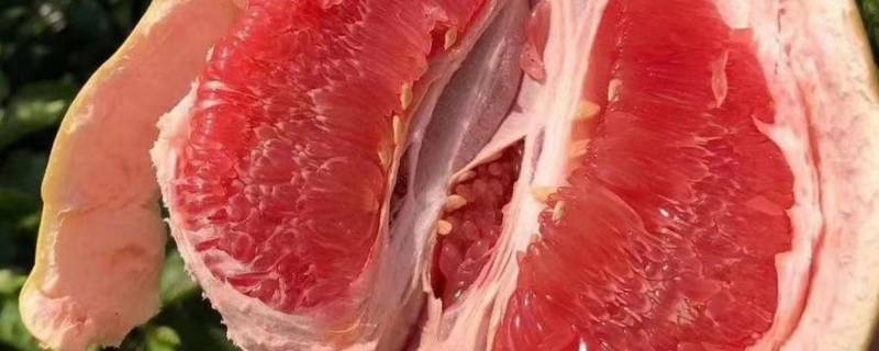 红柚怎么挑选甜不甜（红柚子怎么挑选才甜）