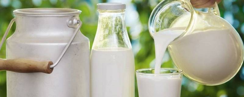 纯牛奶的产品标准代号是什么（牛奶的国家标准代号）