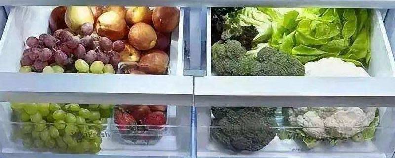 冬天菜需要放冰箱吗 冬天菜要要放冰箱吗