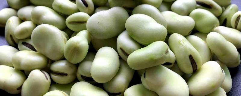 蚕豆是什么 蚕豆是什么季节的食物