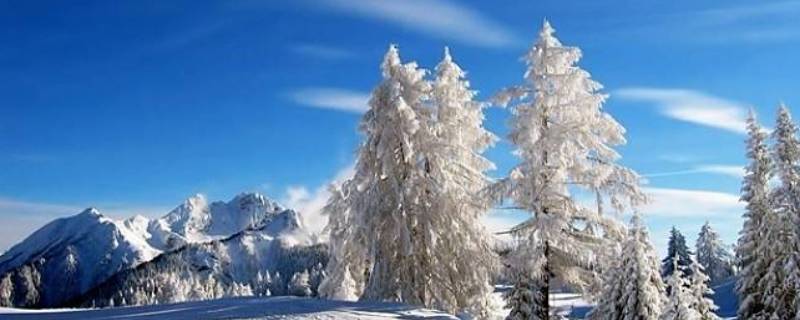 冬季生活起居护理以什么为主（生活起居护理的基本原则包括）