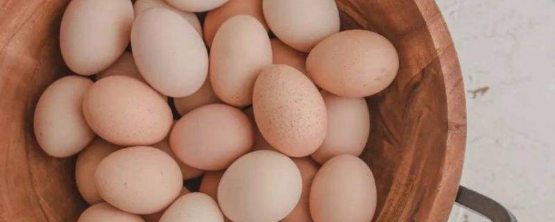 鸡蛋不要和哪种食物存放 鸡蛋不要和哪种食物存放在一起