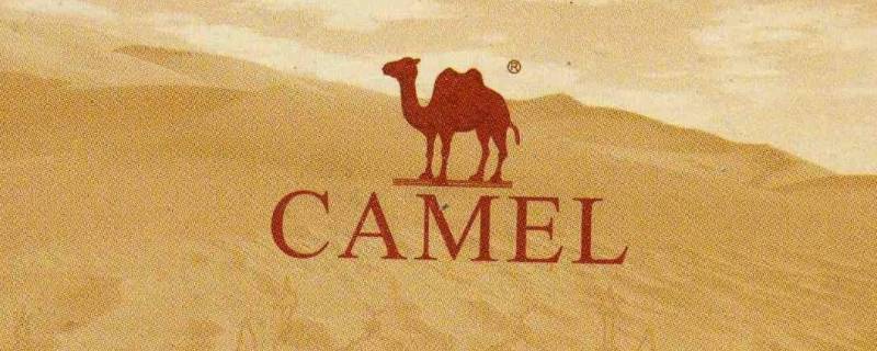 骆驼商标有几种（正宗骆驼商标有几种）