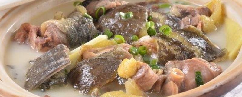 甲鱼炖什么 甲鱼炖什么配菜好吃