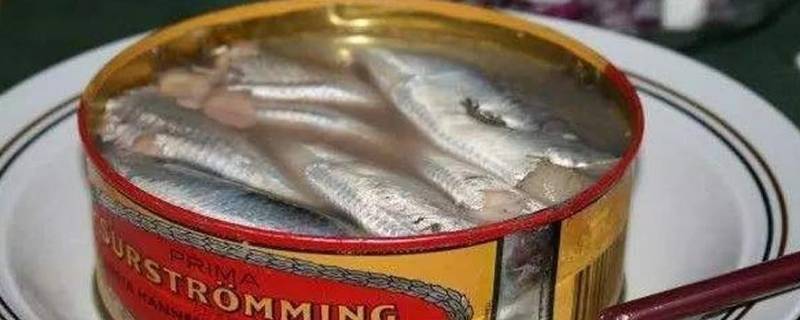 鲱鱼罐头到底是什么味道 鲱鱼罐头是什么味道?