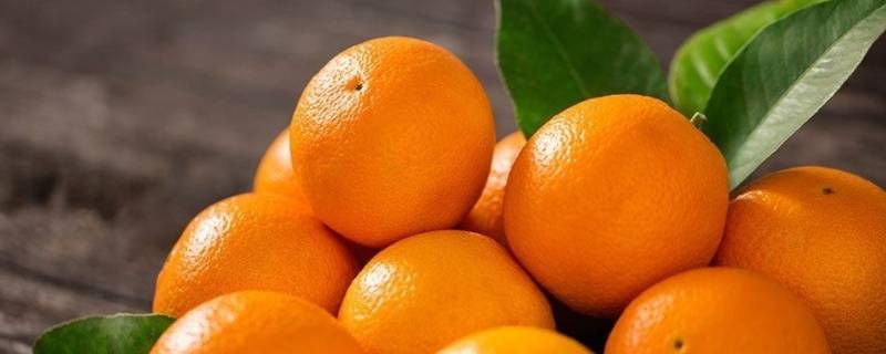 橙子保鲜和储藏方法 橙子怎么贮藏