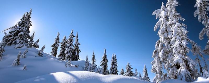 下雪前撒盐还是下雪后撒盐 盐是下雪前撒还是下雪后