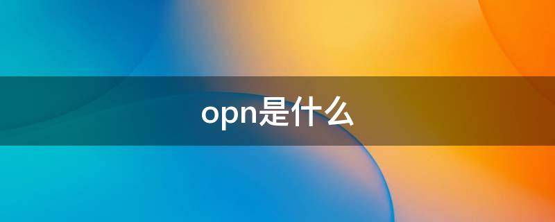opn是什么（opn是什么缩写）
