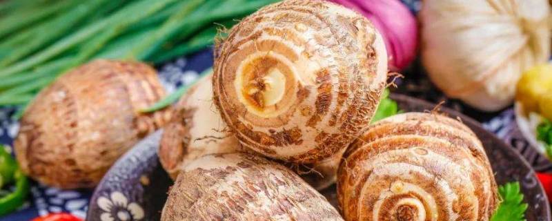 芋头如何保存 吃不完的芋头如何保存