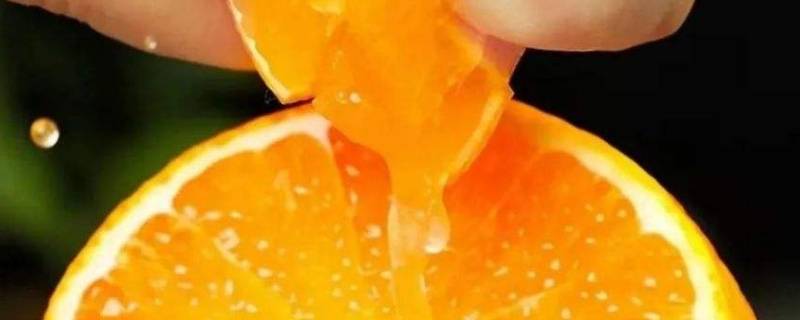 果冻橙是软的吗（果冻橙是软的嘛）