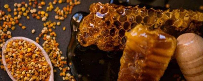 什么是蜂胶 什么是蜂胶 蜂胶功效及吃法