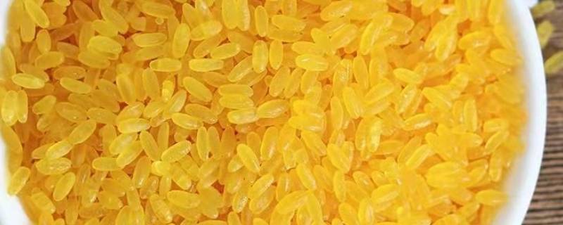黄金米是染色的还是天然的 黄金米是转基因米吗