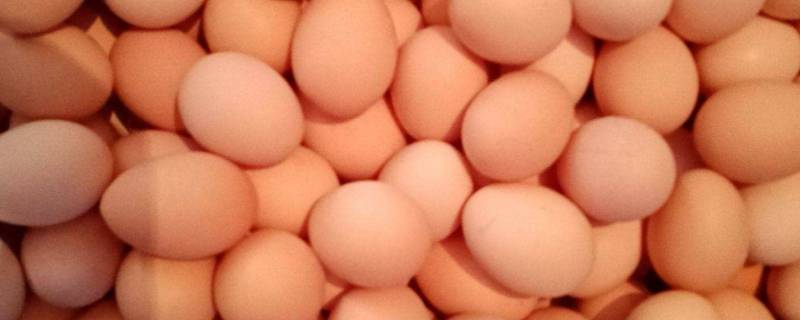 鸡蛋里面有红褐色东西是什么（鸡蛋是褐色的）