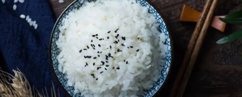 一个人的米饭需要多少水和米（一个人米饭要多少米多少水）