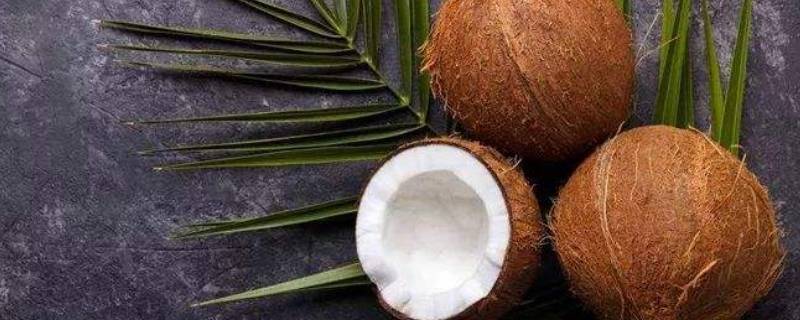 椰子怎样打开 椰子怎样打开吃椰肉