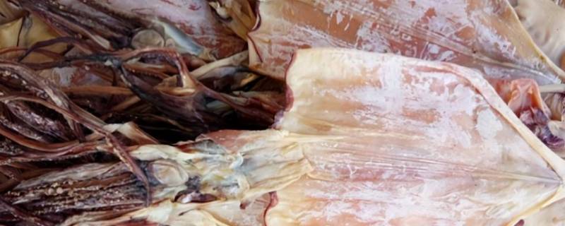 怎样泡发干鱿鱼（怎样泡发干鱿鱼,让它又白又大）