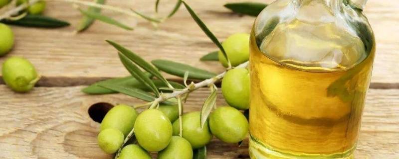 精炼橄榄油与初榨橄榄油的区别（怎么区分初榨橄榄油和精炼橄榄油）