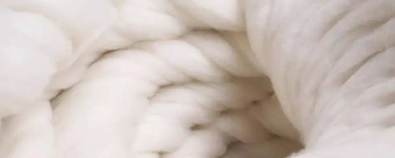 羊绒和山羊绒有什么区别啊 山羊绒和绵羊绒、羊绒的区别