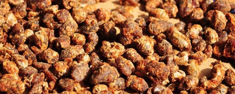 农村冬天捂臭豆子是怎样捂的 夏天能捂臭豆子吗