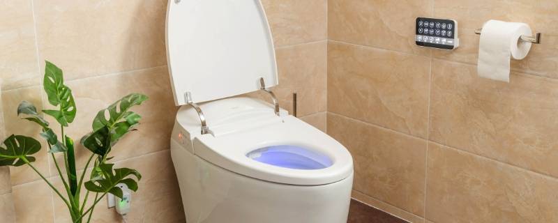 马桶里的黄渍怎么去掉（马桶上的黄渍怎么去掉）