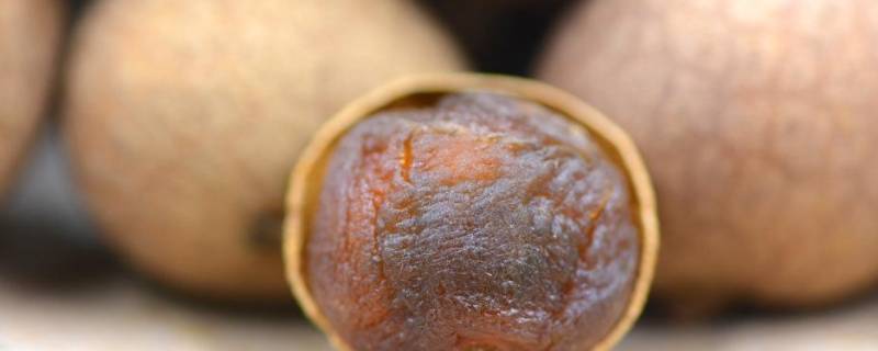 桂圆肉和龙眼有什么区别 桂圆与龙眼肉有何区别