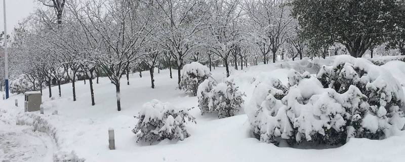 干雪和湿雪的区别 干雪好还是湿雪好