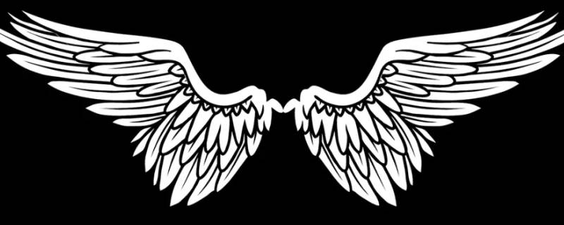 翅膀的寓意和象征 飞翔翅膀的寓意和象征
