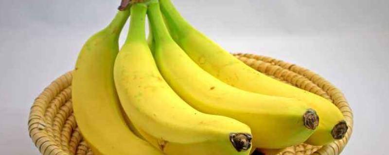 香蕉是什么 香蕉是什么时候传入中国的