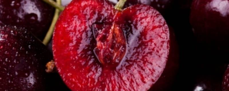 桑提娜车厘子是红车还是黑车（车厘子红车和黑车）