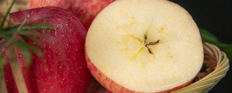 哪种苹果又脆又甜 什么品种的苹果又甜又脆