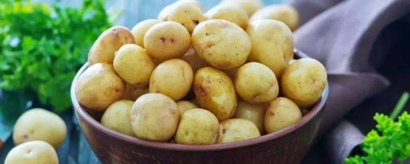 切开的土豆怎么保存 切开的土豆怎么保存到第二天