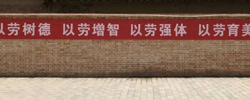 劳育指什么 劳育是指什么