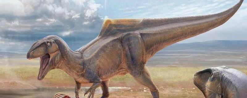 杂食性恐龙有哪些（杂食性恐龙有哪些?）