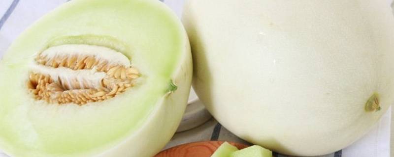 奶香蜜瓜是什么瓜（奶香蜜瓜好吃吗）