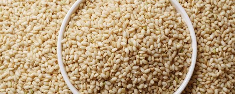 什么是糙米 什么米是糙米