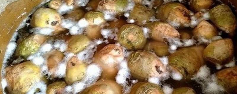 腌菜上面有白色东西是什么原因（腌菜上面有白色东西是什么原因引起的）