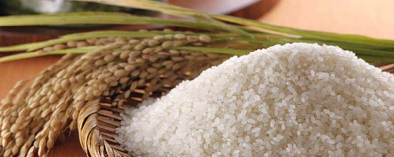 大米生产标准（大米生产标准号）
