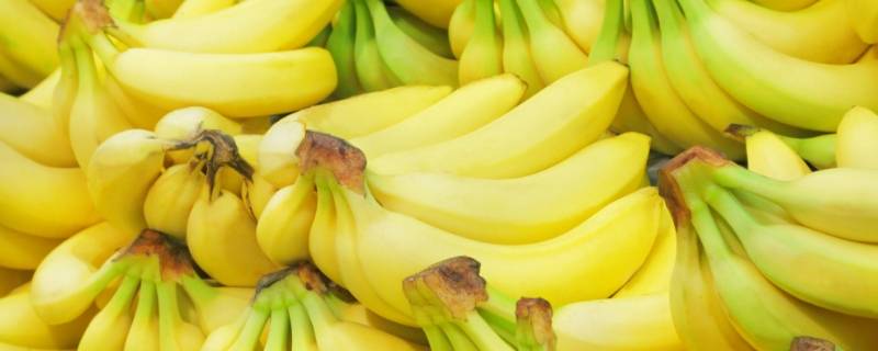 香蕉能放冰箱保鲜吗 成熟的香蕉能放冰箱保鲜吗