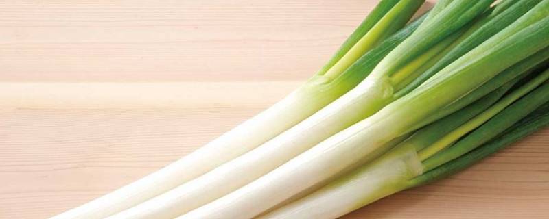 大葱晒几天才可以存放（葱晒几天能储存起来）