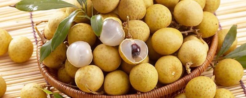 剥好的龙眼肉怎么晒干（剥皮的龙眼肉怎么晒干）