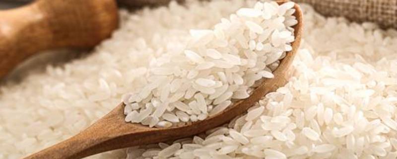 丝苗米是什么米（丝苗米多少钱一斤）
