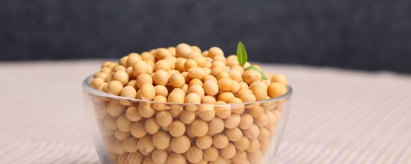 黄豆不提前泡可以煮烂吗（黄豆不泡能煮烂吗）